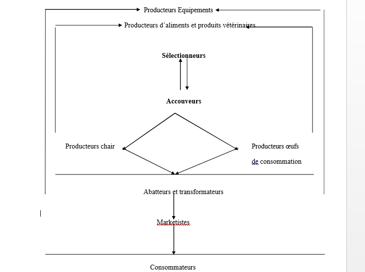 Structuration et interrelations entre les différents acteurs